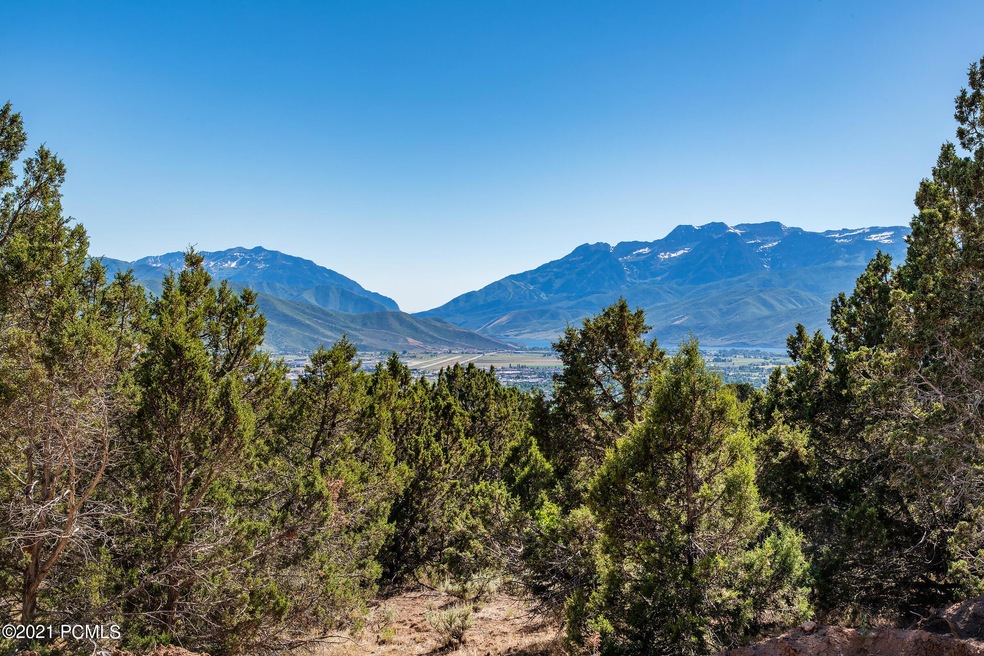 0_Lot-View_high_3513979