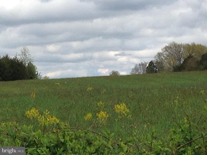 10729 Weaversville Rd, Bealeton, VA 22712 - photo 1