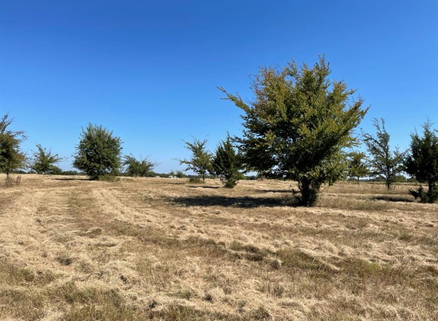 21847 Fm 901, Gordonville, TX 76245 - photo 1