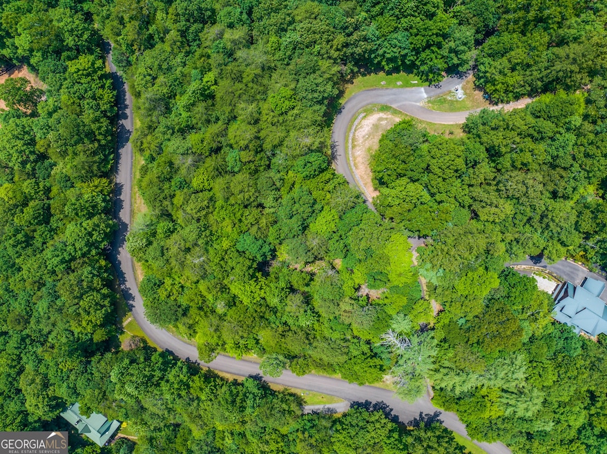 Lot 104 Mountain Creek Hollow Dr, Talking Rock, GA 30175 - photo 1