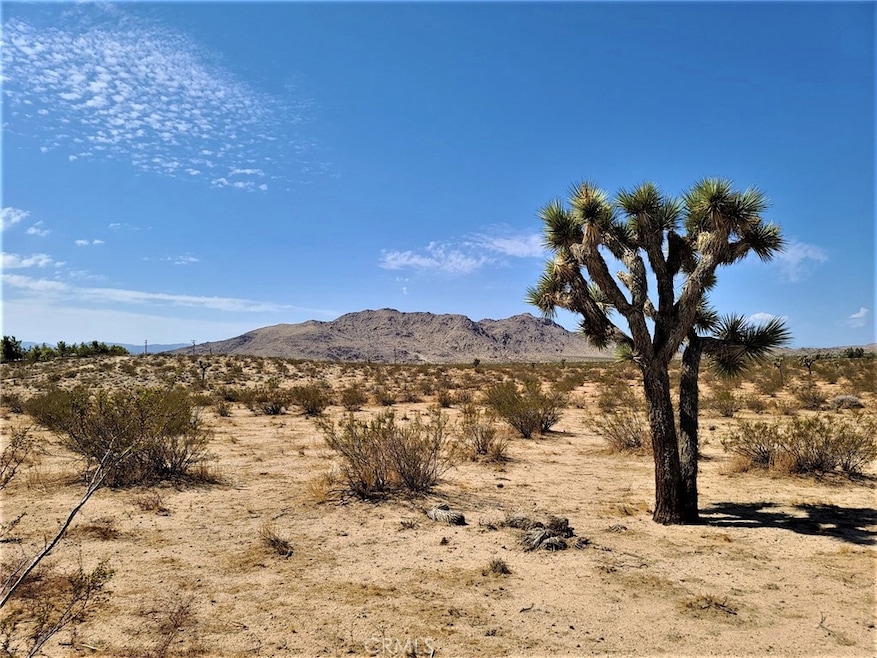3030 Saddleback Rd, Joshua Tree, CA 92252 - photo 1