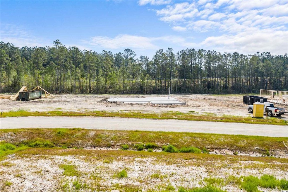 109 Karlie Ct unit Lot 9, Aynor, SC 29511 - photo 1