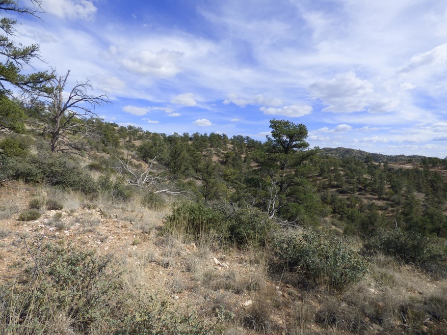 12960 N Preserve Point, Prescott, AZ 86305 - photo 1