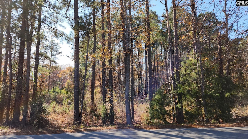 2221 Old Cherokee Rd unit LOT 2, Lexington, SC 29072 - photo 1