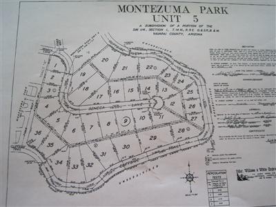 Primary Photo