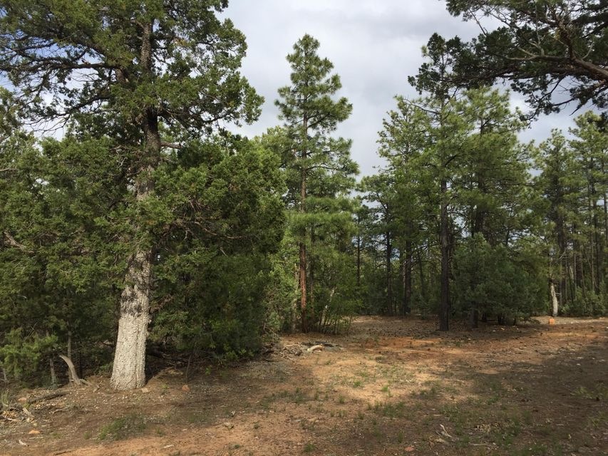 Paradise Pines 1