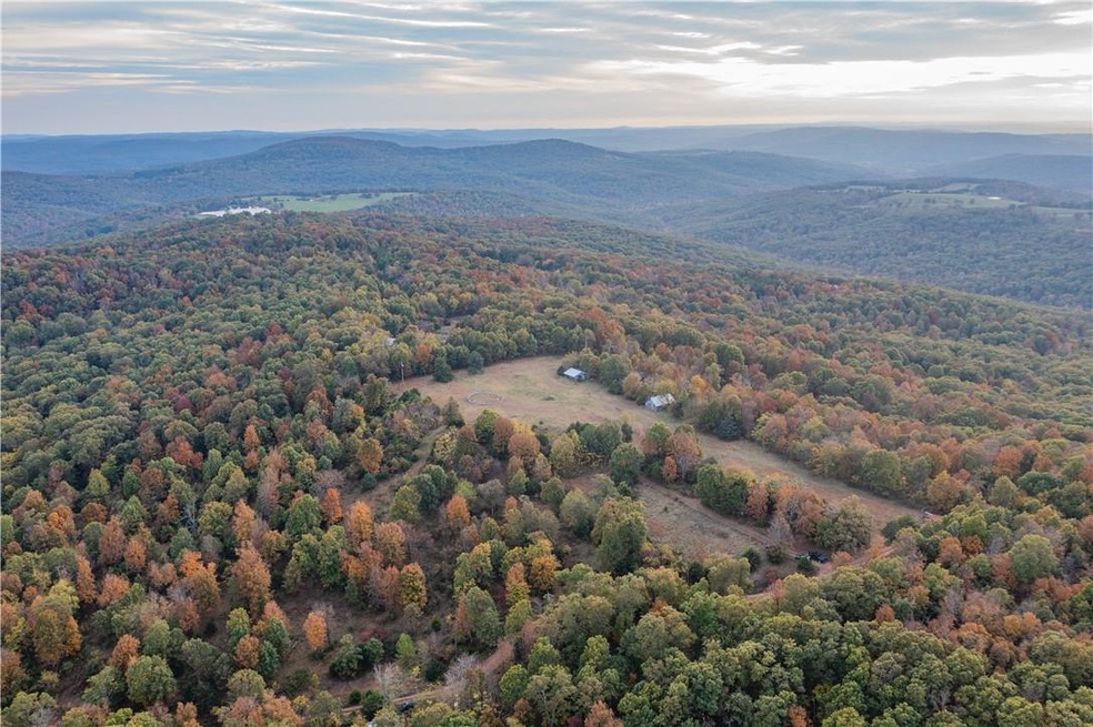 14136 Low Gap Rd, West Fork, AR 72774 - photo 1