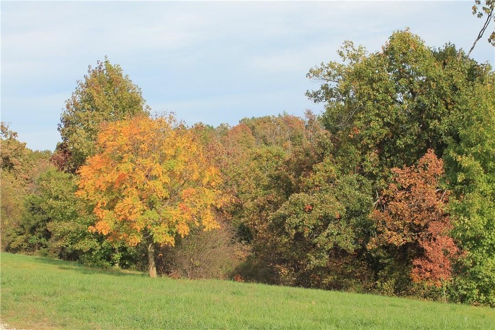 14136 Savoy Rd, Fayetteville, AR 72704 - photo 1