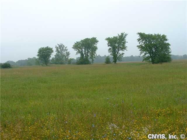 Land/Lot