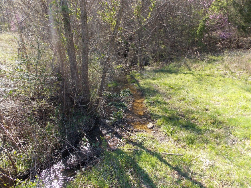 0 Spring Cir, Linden, TN 37096 - photo 1