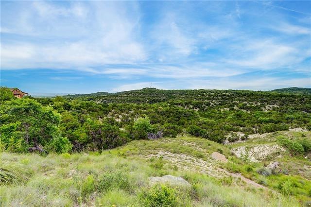 344 Stacey Ann Cove, Dripping Springs, TX 78620 - photo 1