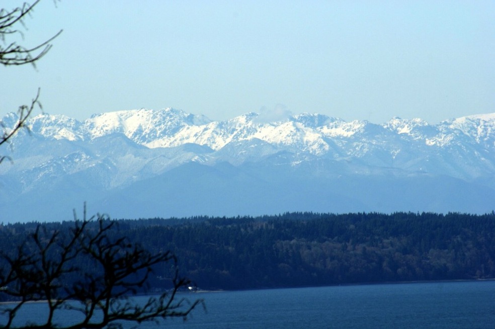 27417 12th Place S, Des Moines, WA 98198 - photo 1