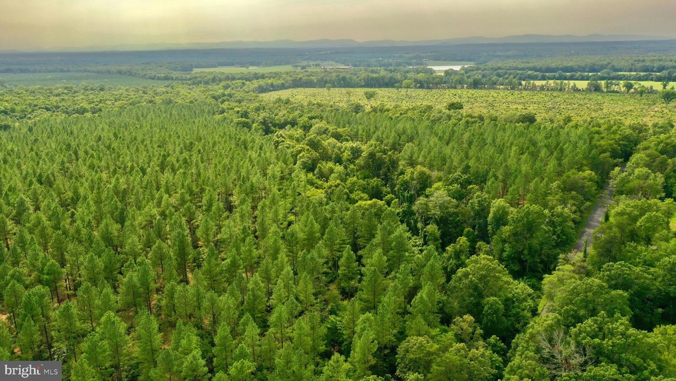 0 Old Mill Rd unit VAFQ2010670, Midland, VA 22728 - photo 1