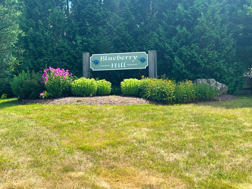10 Blueberry Hill Rd unit 5, Plymouth, NH 03264 - photo 1