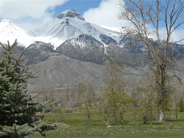 Main View