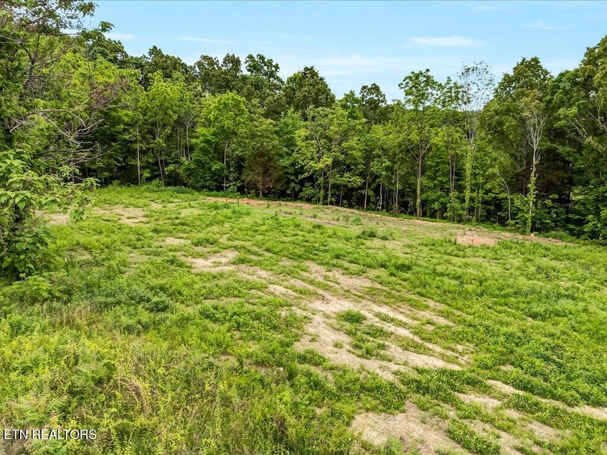 0 Ostrich Ln unit 1300806, Rutledge, TN 37861 - photo 1