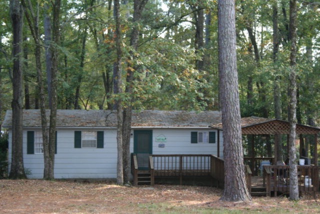 Main View