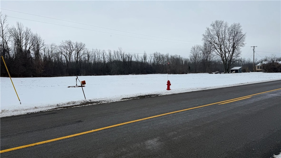 0 0 Knowlesville Rd, Alabama, NY 14125 - photo 1