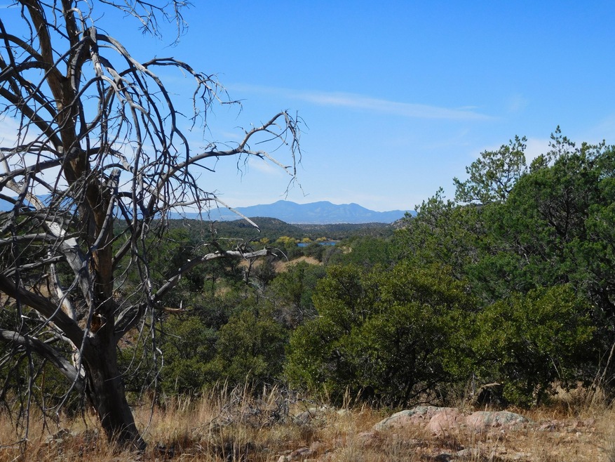 Lakeview from lot C