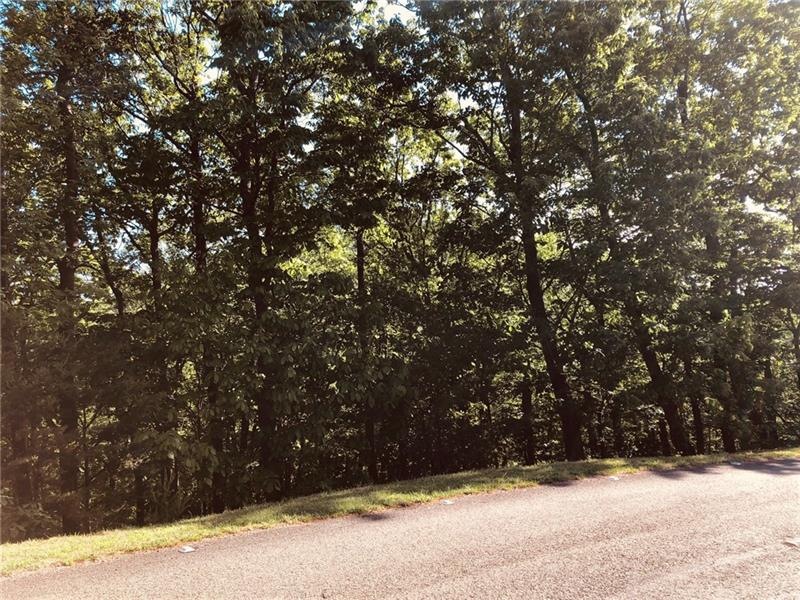 Front view of lot from the street