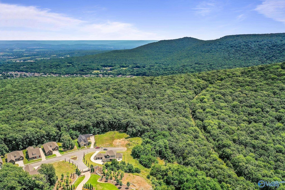 35.5 Acres Hawks Way NE, Huntsville, AL 35811 - photo 1