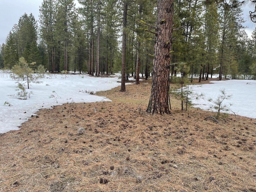 4XX Couples Ct, Chewelah, WA 99109 - photo 1