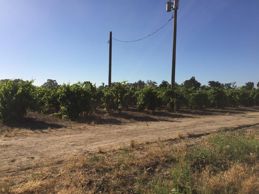 11890 E Acampo Rd, Acampo, CA 95220 - photo 1