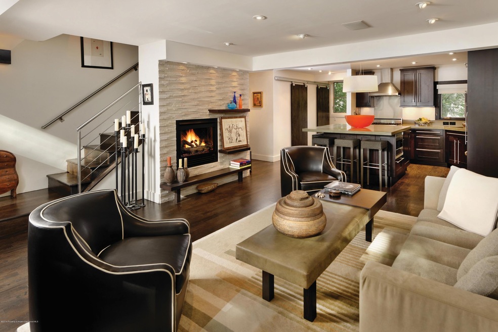 100 N 8th St unit 4, Aspen, CO 81611 - photo 1