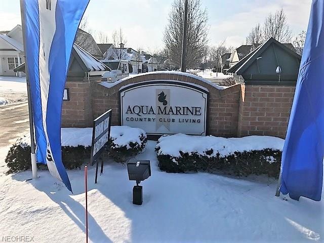 1016 Aqua Marine Blvd unit 54, Avon Lake, OH 44012 - photo 1