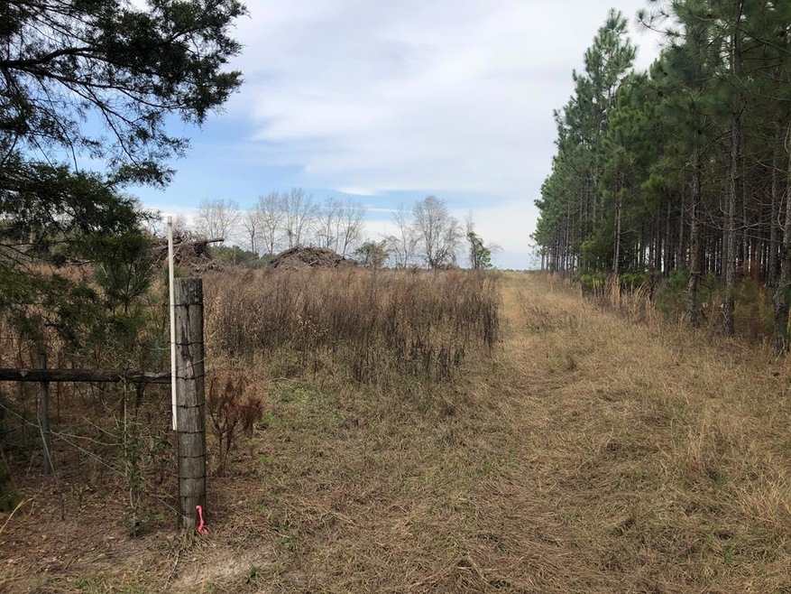 390 Lundy Rd, Sylvester, GA 31791 - photo 1