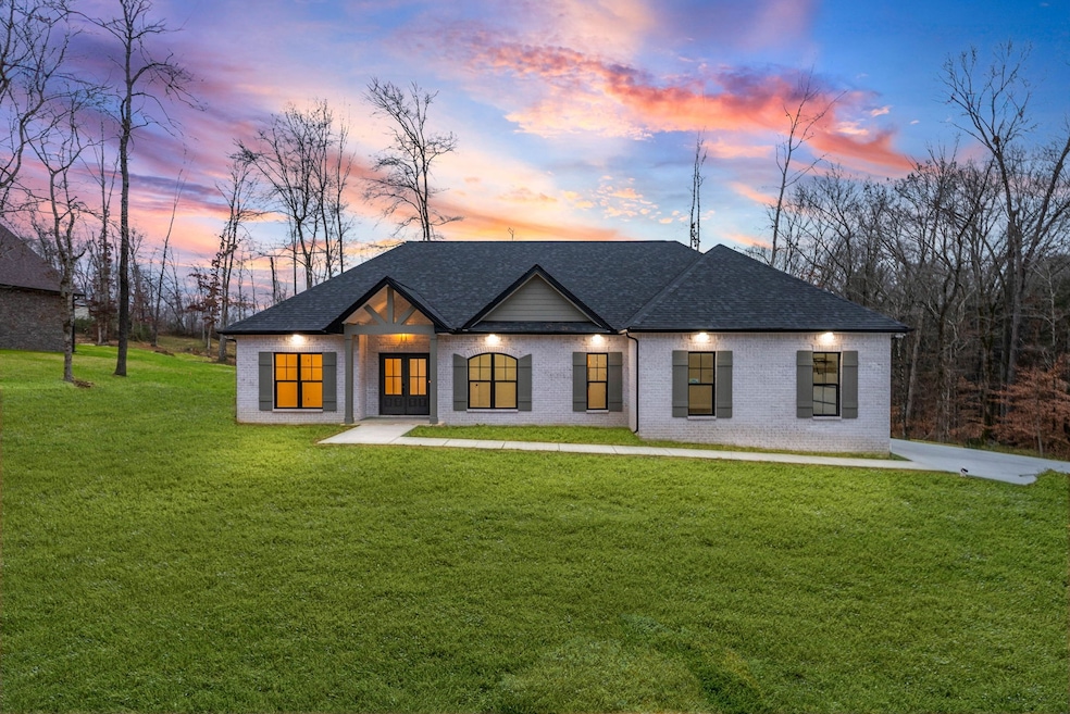 950 Palmyra Rd, Clarksville, TN 37040 - photo 1