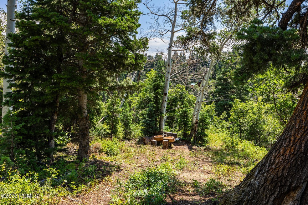 2191 Pine Loop Road Wanship UT 84017 USA