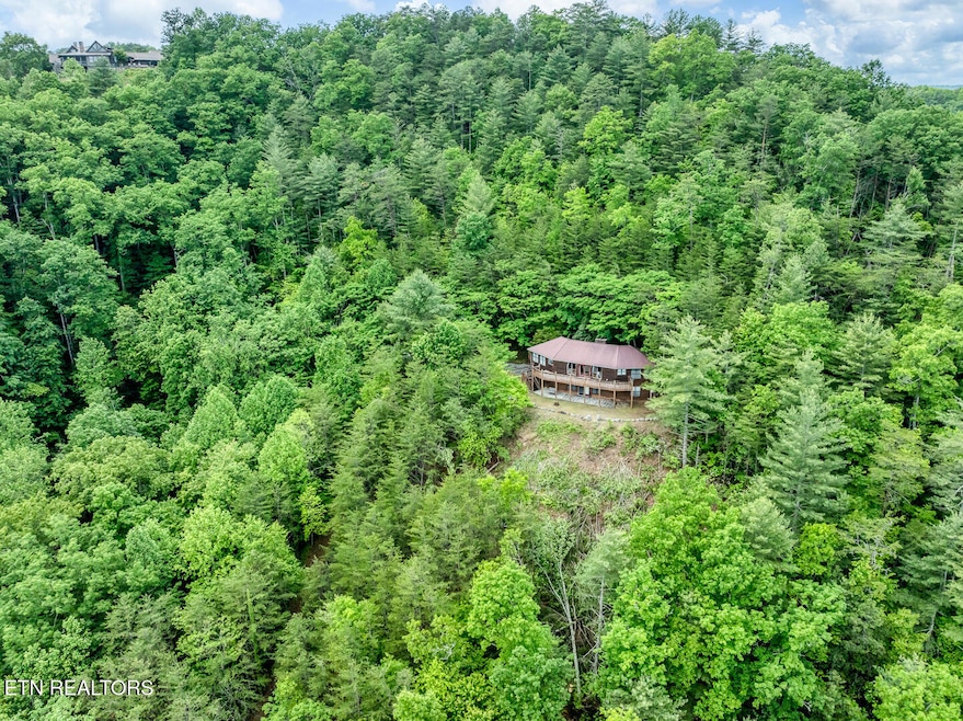 DJI_0990