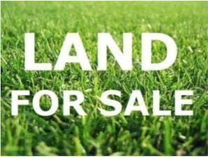 Sold $337,500 • Co-Listing Agent