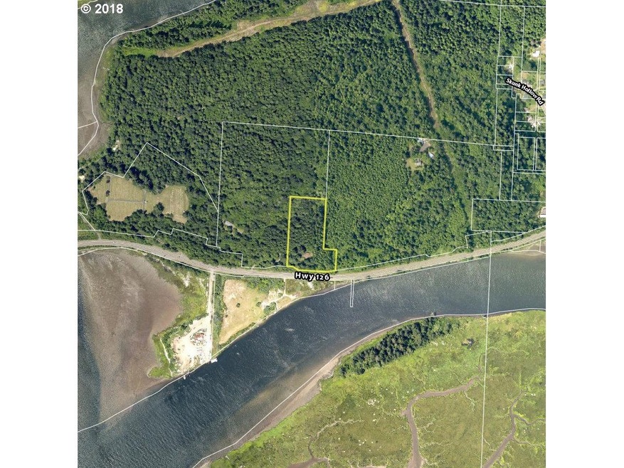 6061 Highway 126, Florence, OR 97439 - photo 1