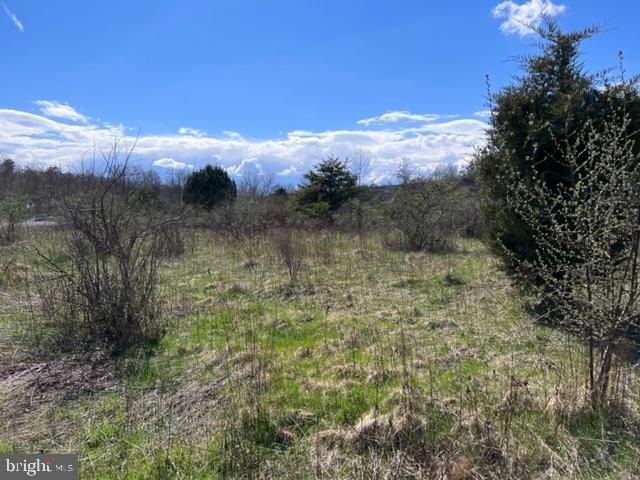 Lot 38 Amulet, Berkeley Springs, WV 25411 - photo 1