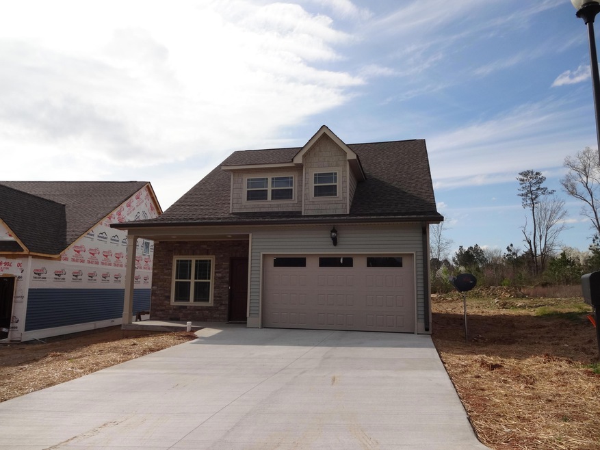 lot 31