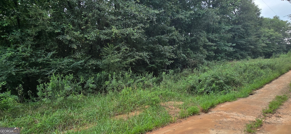 2697 Zero O Dr, Bowman, GA 30624 - photo 1