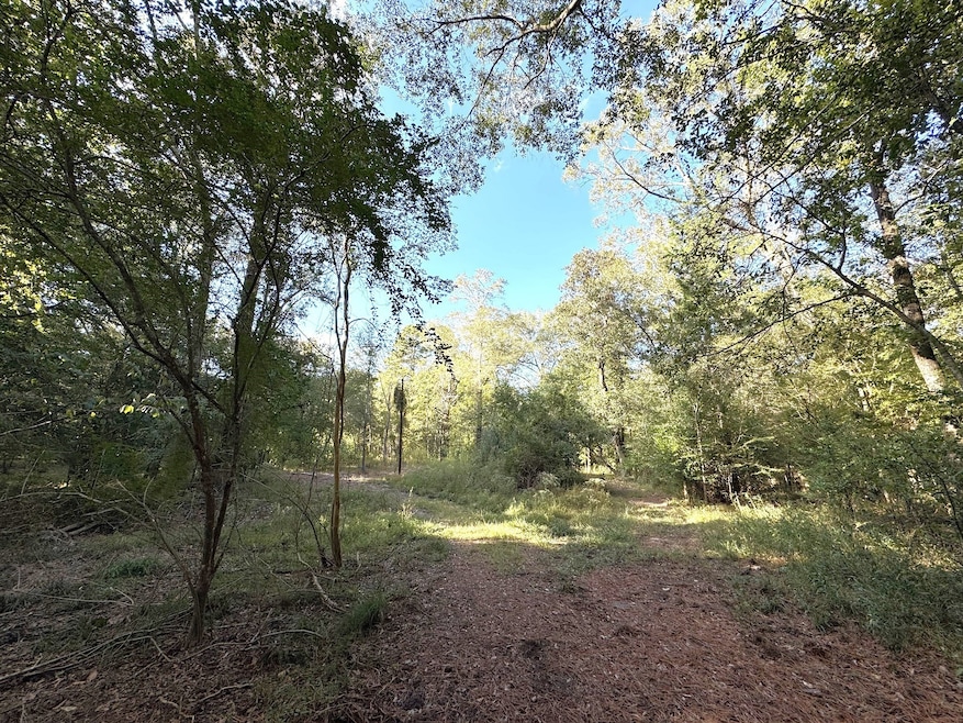 2080 County Road 1100, Woodville, TX 75979 - photo 1