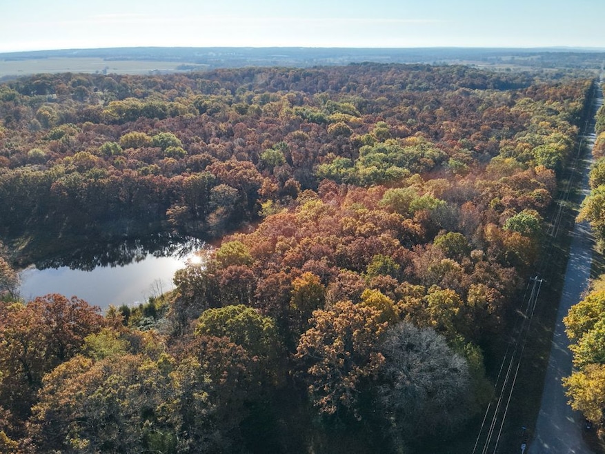 00000 S4290 Rd, Big Cabin, OK 74332 - photo 1