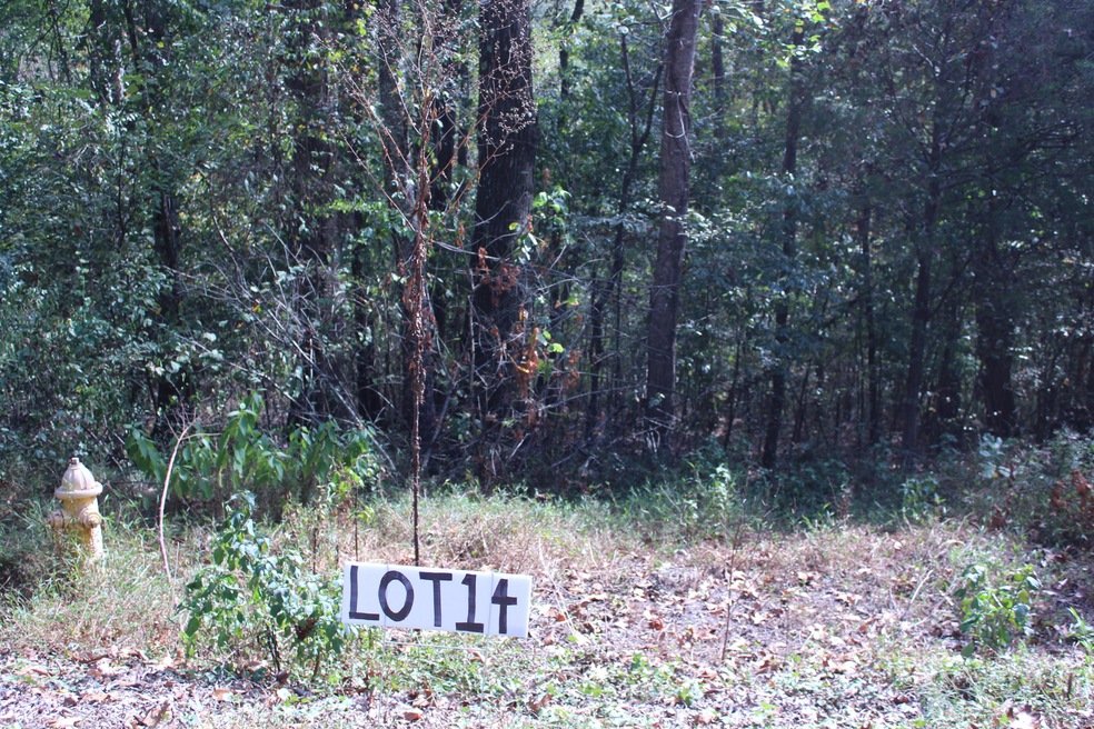 Lot 14 photo