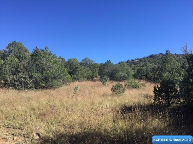 61 Euphoria Rd, Silver City, NM 88061 - photo 1