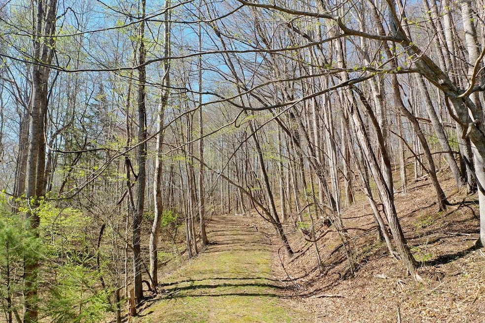 1,2 & 3 Top Drop Ln, Sylva, NC 28779 - photo 1