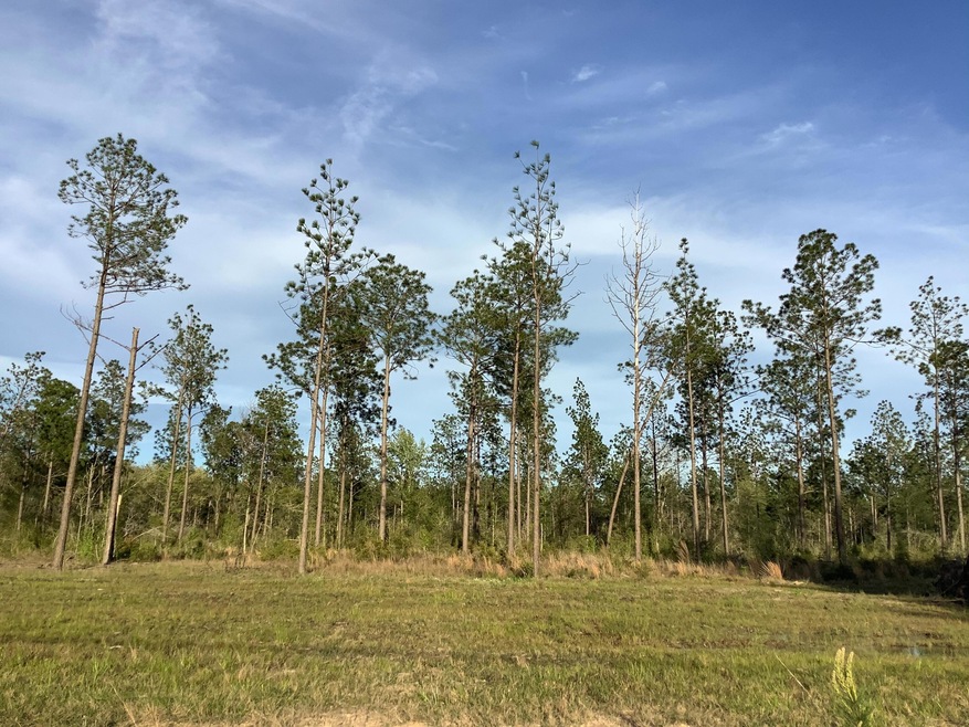 TBD SANDY LOOP, MERRYVILLE, LA. 70653
