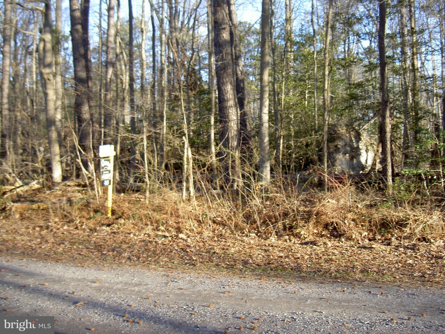 0 Brooks Dr unit 1000408031, Colonial Beach, VA 22443 - photo 1