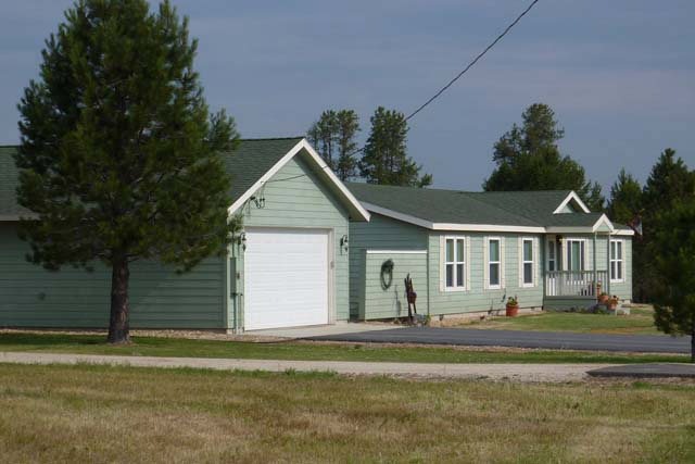 Main View