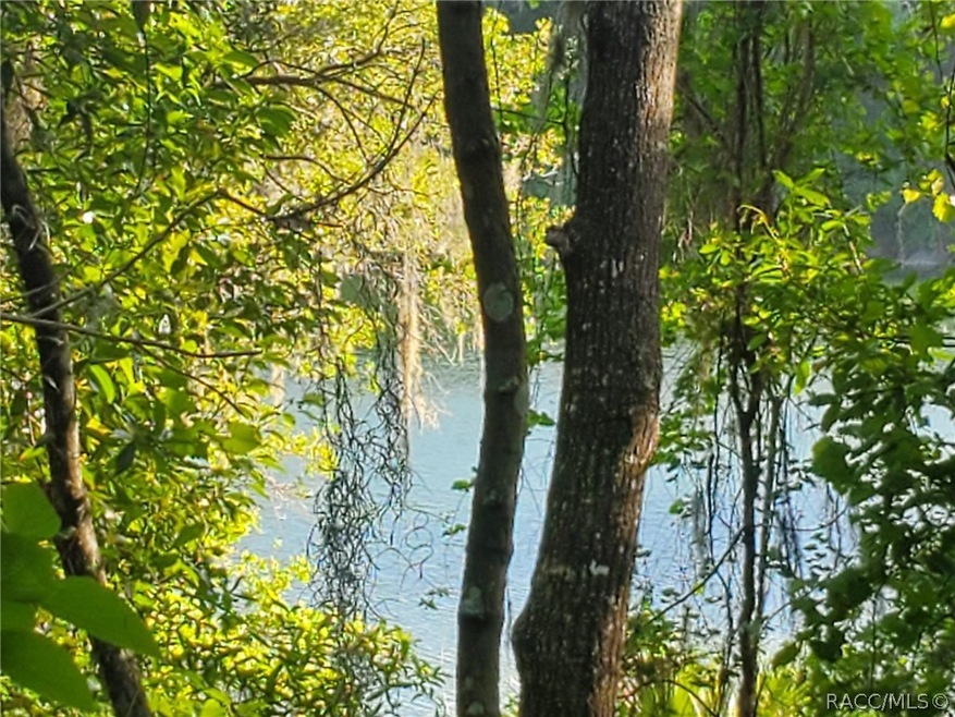 2214 E Keepsake Ln, Hernando, FL 34442 - photo 1