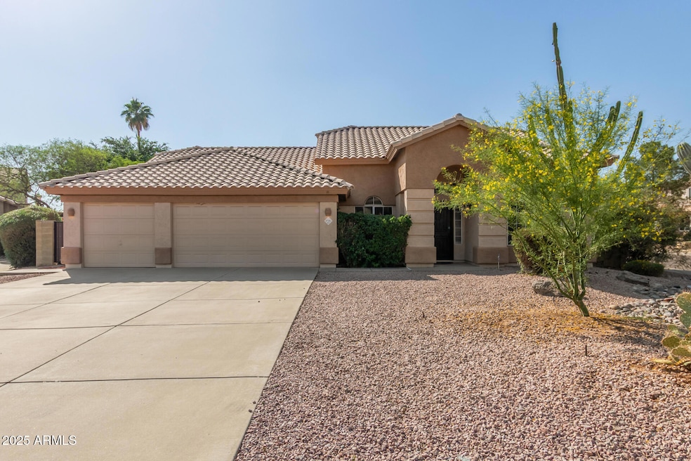 02 - Piute 3726