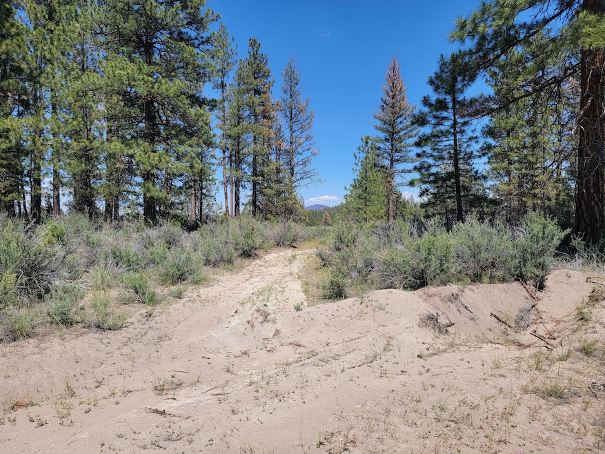 Mt Trout Ln, Sprague River, OR 97624 - photo 1