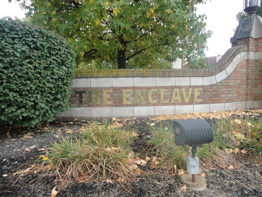 Welcome to The Enclave